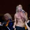 Iggy Pop Is Retiring! (From Stage Diving)